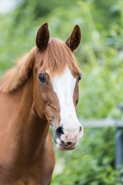 Bild 82 - Vivi
